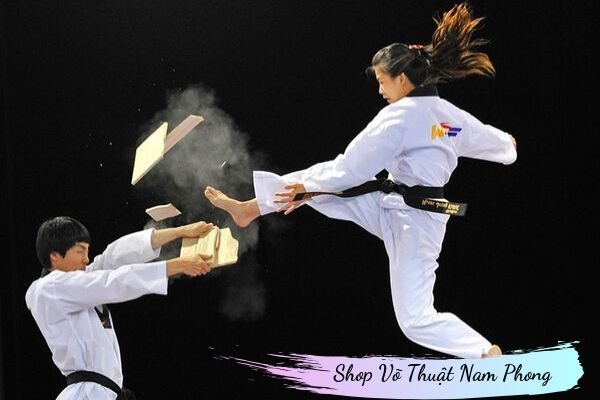 Võ Taekwondo
